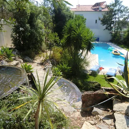Coastal Serenity Villa: Beachfront Retreat With Pool And Sea Views *